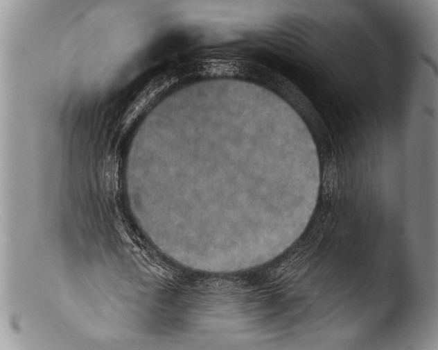 X0000103960722200810311613