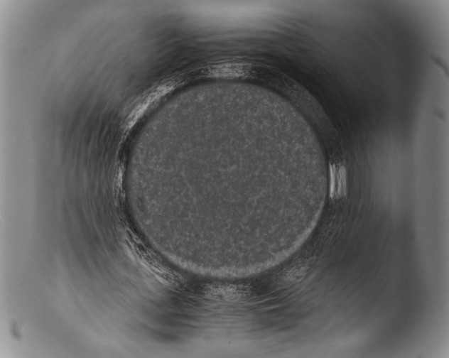 X0000103960723200810311613
