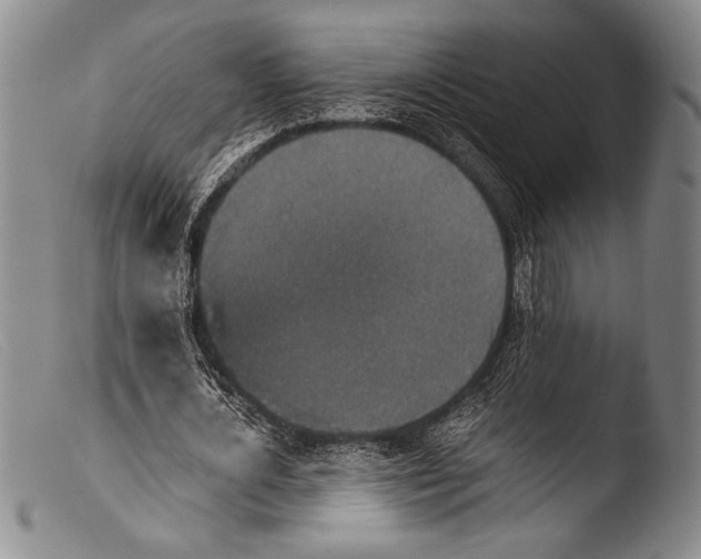 X0000103960724200810311613