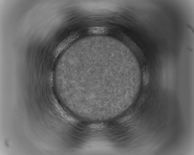 X0000103960725200810311613