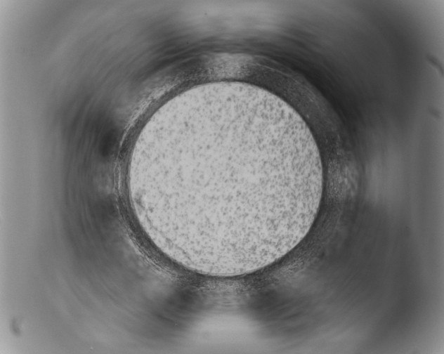 X0000103960726200810311613