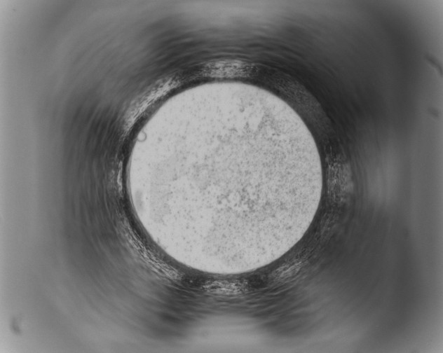 X0000103960727200810311613