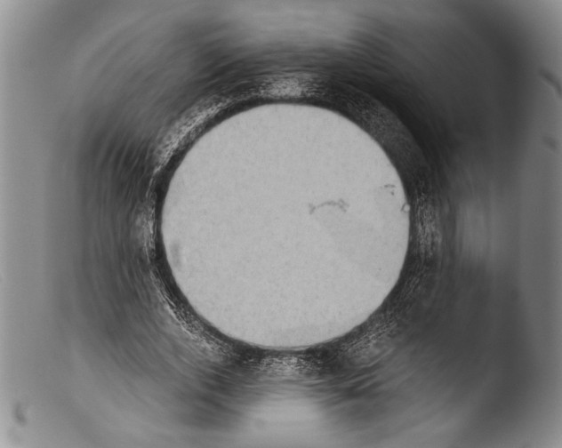 X0000103960728200810311613