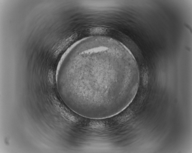 X0000103960729200810311613