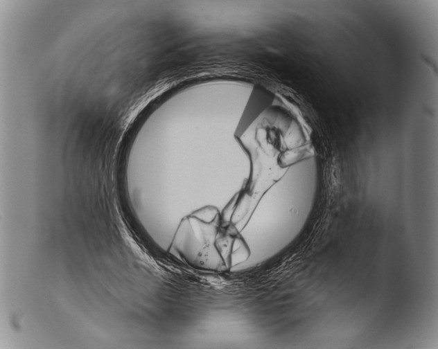 X0000103960730200810311613