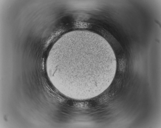 X0000103960731200810311613