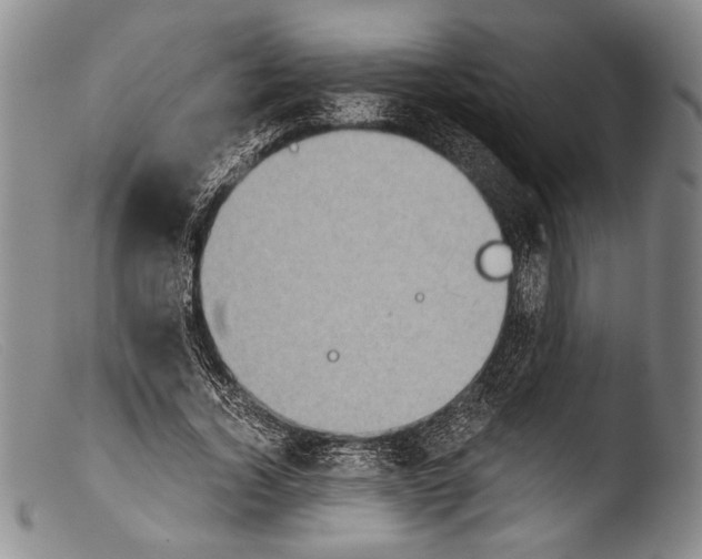 X0000103960732200810311613