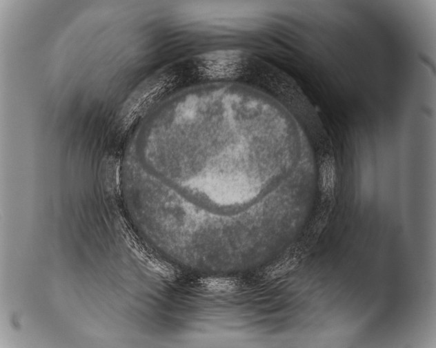 X0000103960733200810311613