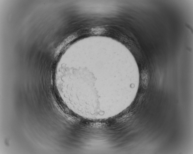 X0000103960734200810311613