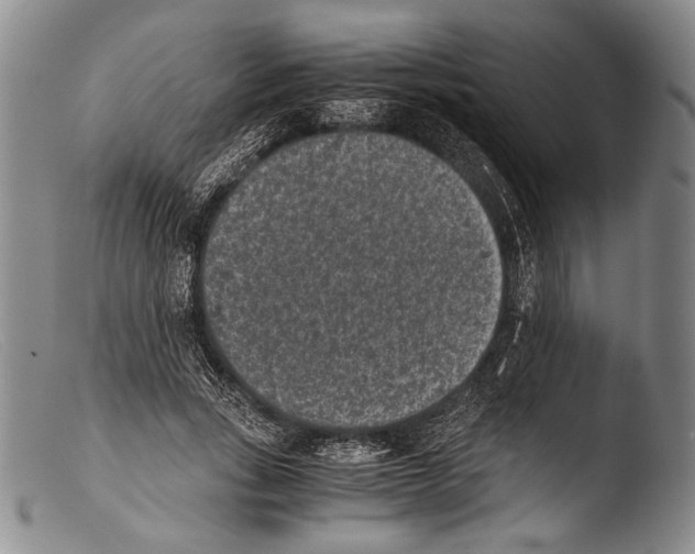 X0000103960735200810311613