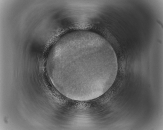 X0000103960736200810311614