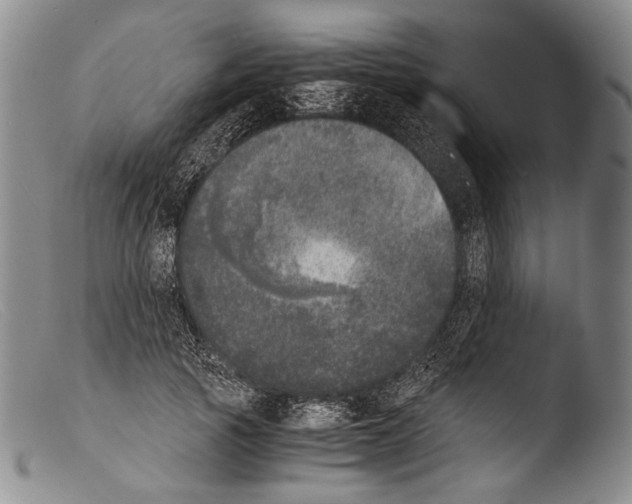X0000103960737200810311614
