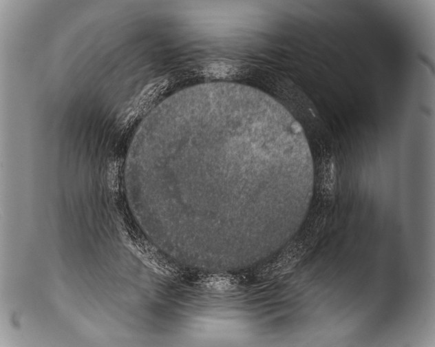 X0000103960738200810311614