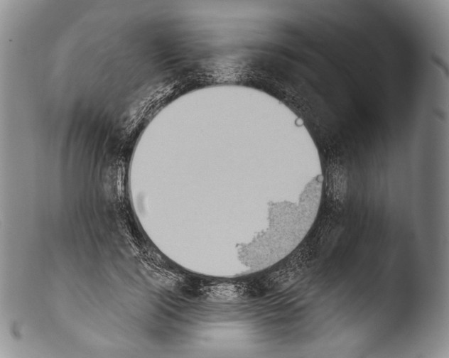X0000103960740200810311614