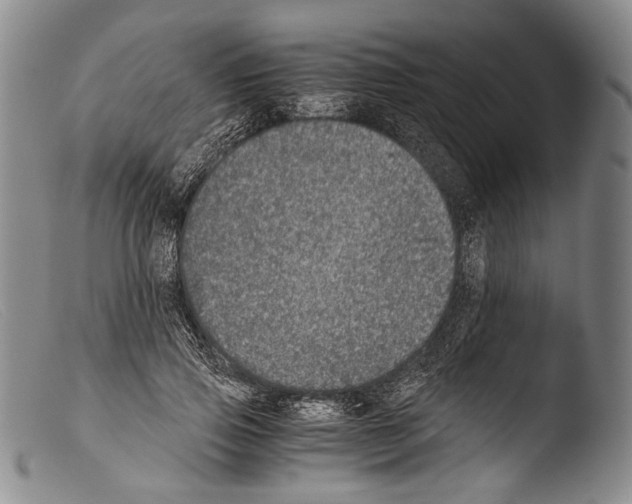X0000103960741200810311614