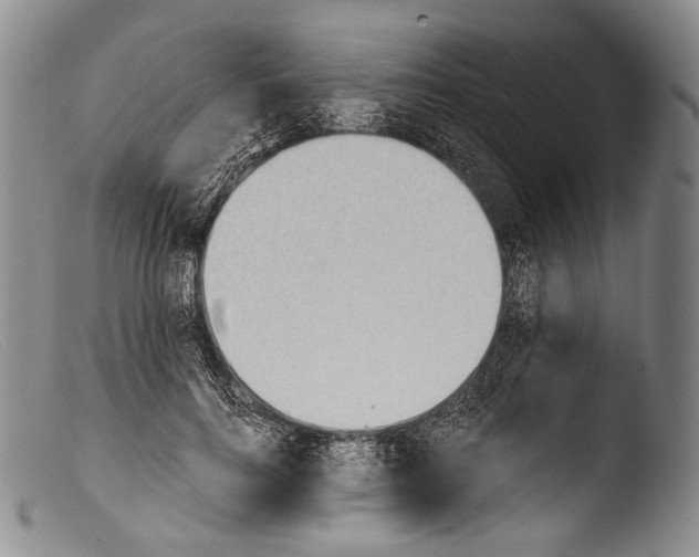 X0000103960744200810311614