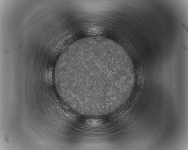 X0000103960745200810311614