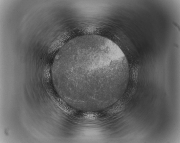 X0000103960746200810311614