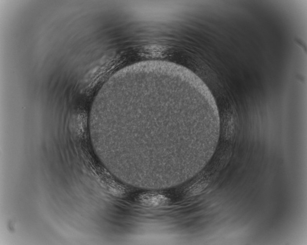 X0000103960747200810311614
