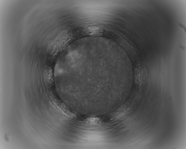 X0000103960748200810311614