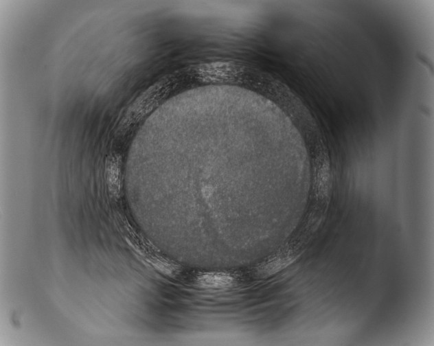 X0000103960749200810311614