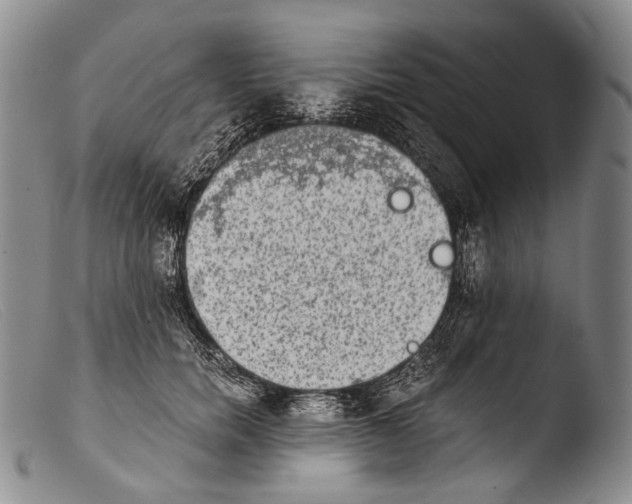 X0000103960750200810311614