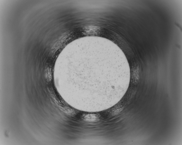 X0000103960751200810311614