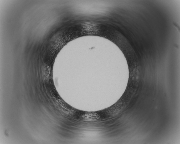 X0000103960752200810311614