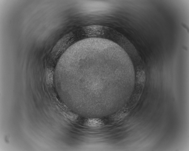X0000103960753200810311614