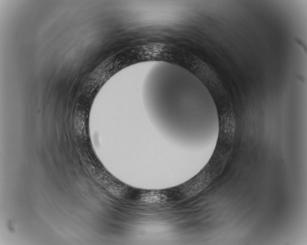 X0000103960754200810311614