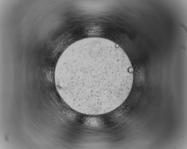 X0000103960755200810311614