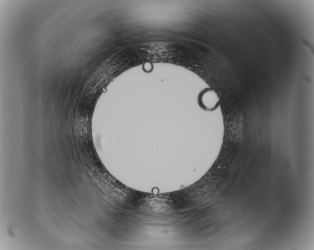X0000103960756200810311614