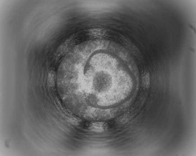 X0000103960757200810311614