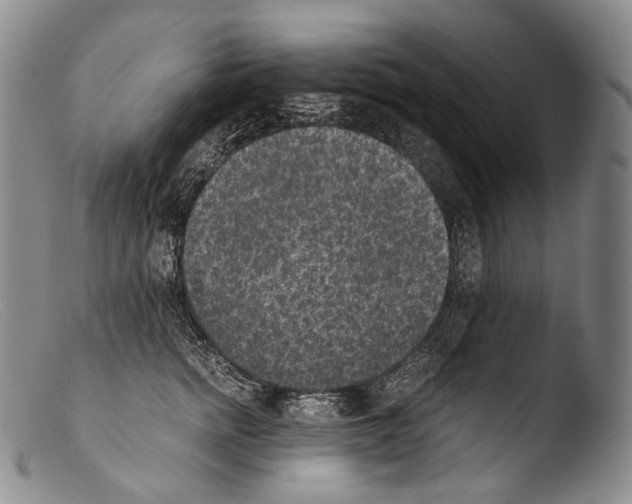 X0000103960758200810311614