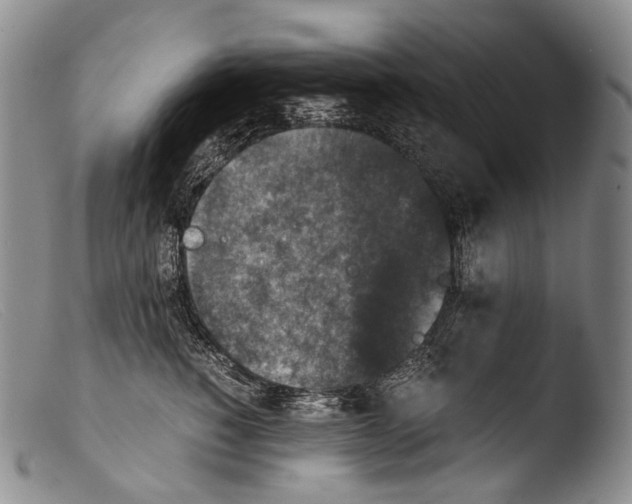 X0000103960760200810311614