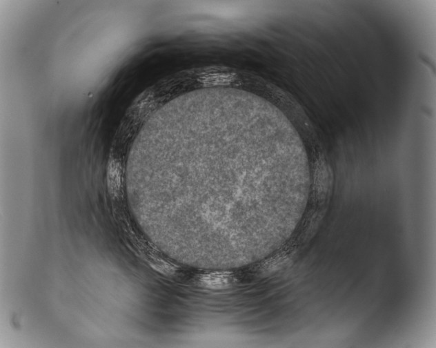 X0000103960761200810311614