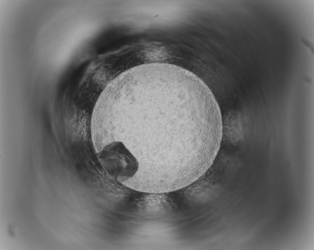X0000103960762200810311614
