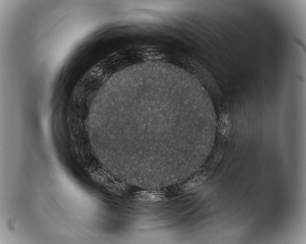 X0000103960763200810311614