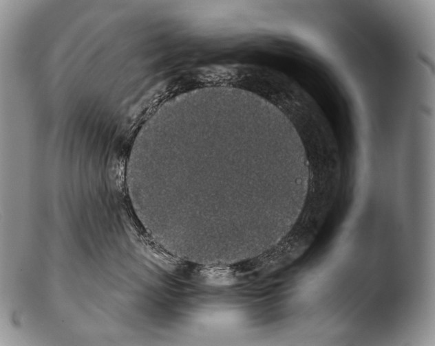 X0000103960767200810311614