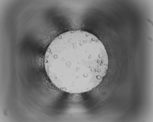 X0000103960768200810311614