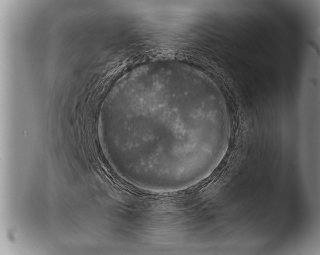 X0000103960769200810311613
