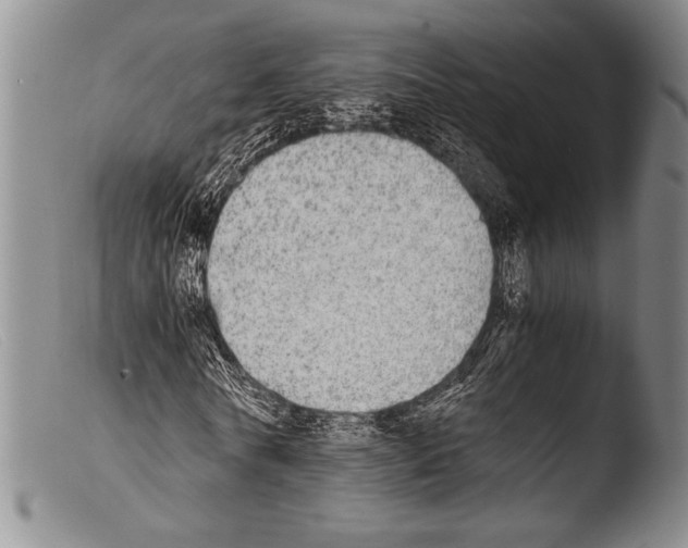 X0000103960770200810311613