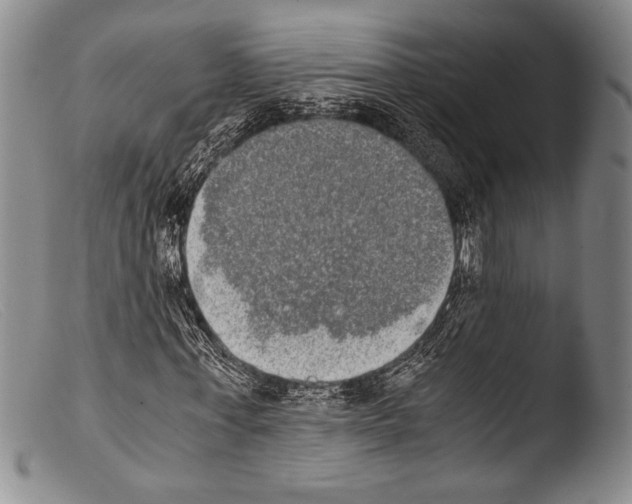 X0000103960771200810311613