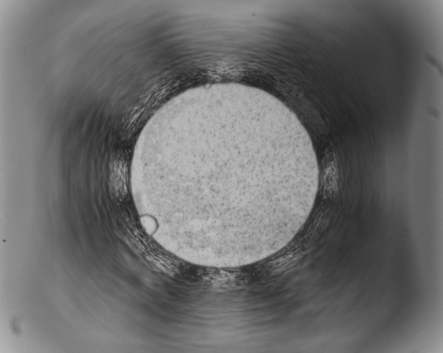 X0000103960772200810311613