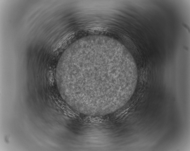 X0000103960774200810311613