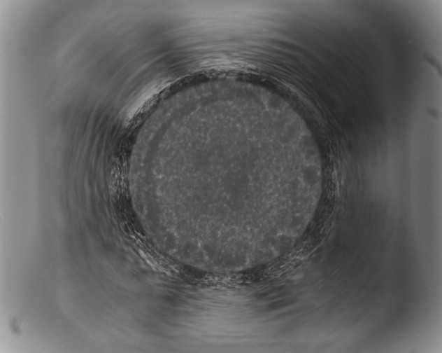 X0000103960775200810311613