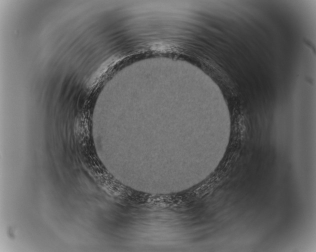 X0000103960776200810311613
