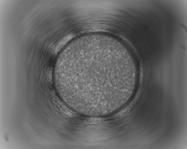X0000103960777200810311613