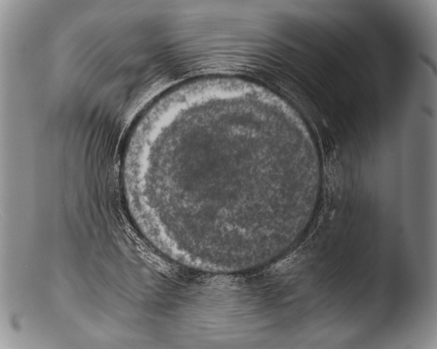X0000103960779200810311613