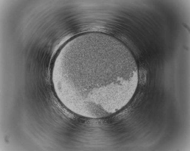X0000103960780200810311613